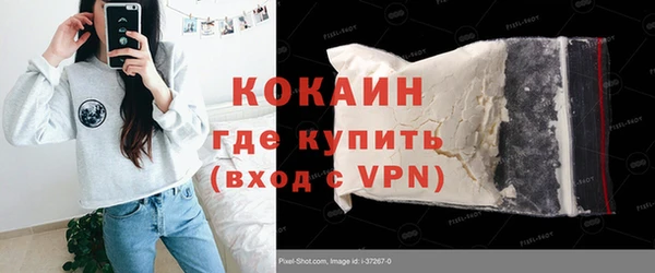 молекула духа Козельск