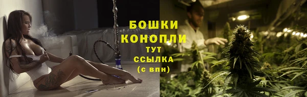 молекула духа Козельск