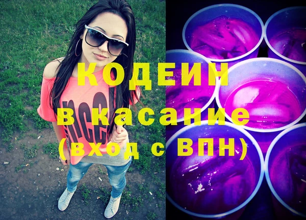 молекула духа Козельск