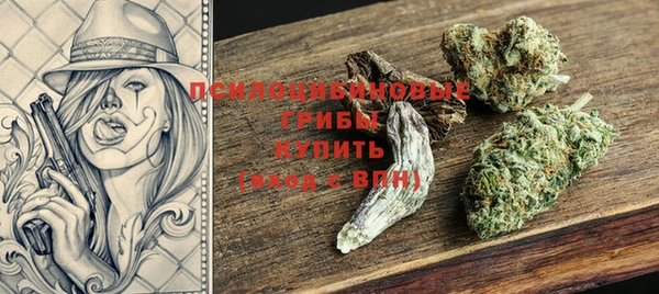 молекула духа Козельск
