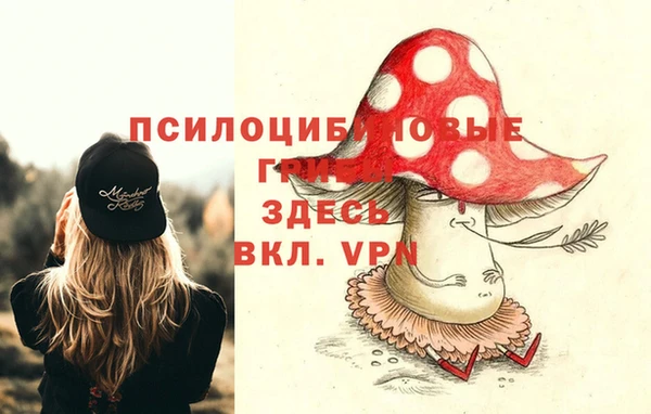 молекула духа Козельск