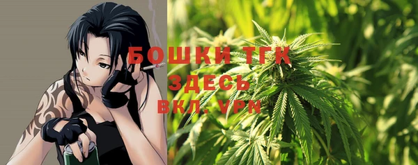 молекула духа Козельск