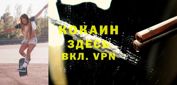 молекула духа Козельск